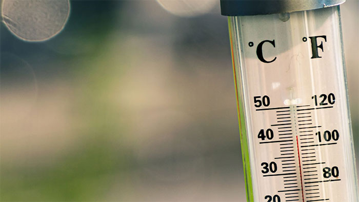 Close-up of a thermometer showing both Celsius and Fahrenheit scales, with a blurred outdoor background.